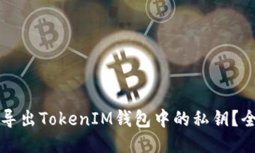 如何安全导出TokenIM钱包中的私钥？全方位指南