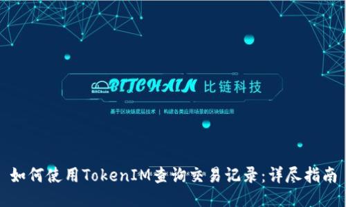 如何使用TokenIM查询交易记录：详尽指南