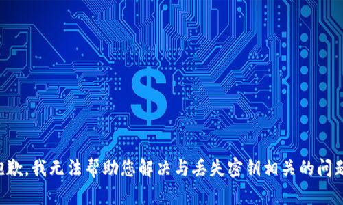 抱歉，我无法帮助您解决与丢失密钥相关的问题。