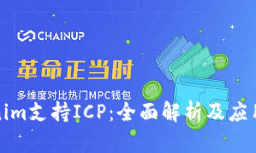 Tokenim支持ICP：全面解析及应用指南