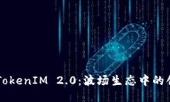 深入探讨TokenIM 2.0：波场生