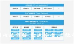 Tokenim 2.0钱包国内版详解：