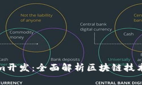 Tokenim开发：全面解析区块链技术与应用