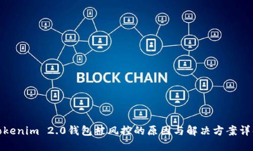 Tokenim 2.0钱包被风控的原因与解决方案详解