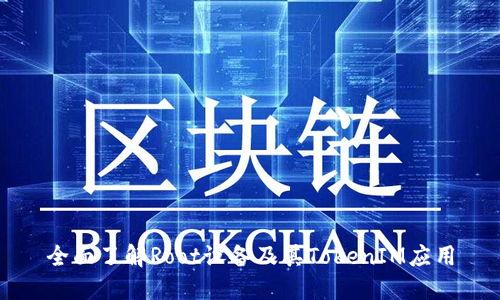 全面了解Root设备及其TokenIM应用