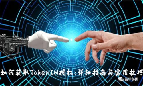 如何获取TokenIM授权：详细指南与实用技巧