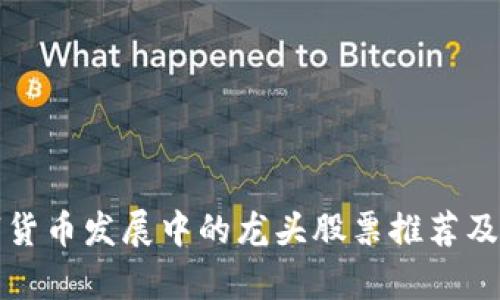 数字货币发展中的龙头股票推荐及分析
