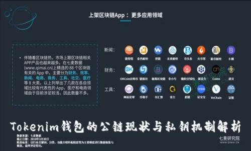 Tokenim钱包的公链现状与私钥机制解析