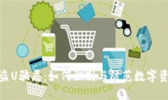 揭秘冷钱包盗U骗局：如何