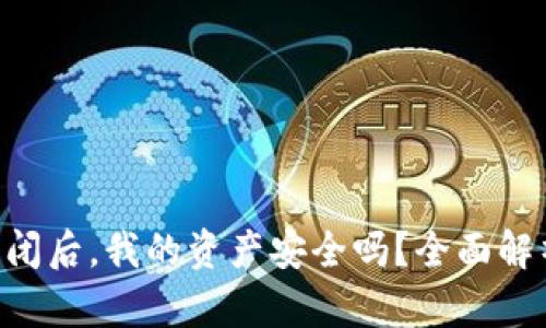 Tokenim钱包倒闭后，我的资产安全吗？全面解析安全性与风险