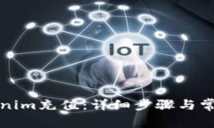 如何给Tokenim充值：详细步