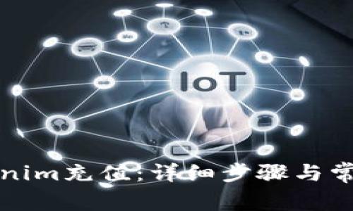 如何给Tokenim充值：详细步骤与常见问题解答