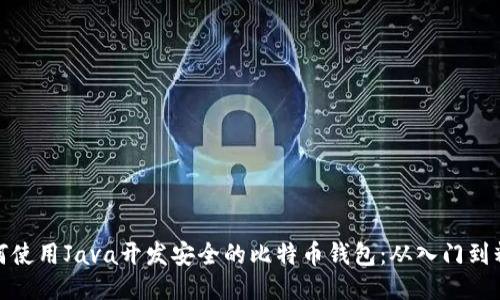如何使用Java开发安全的比特币钱包：从入门到精通