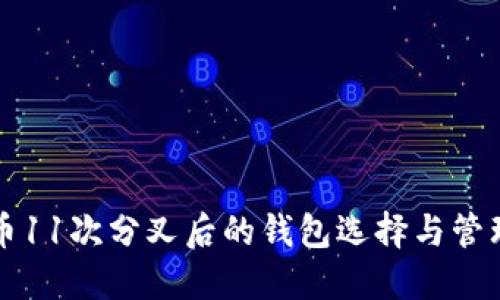比特币11次分叉后的钱包选择与管理指南