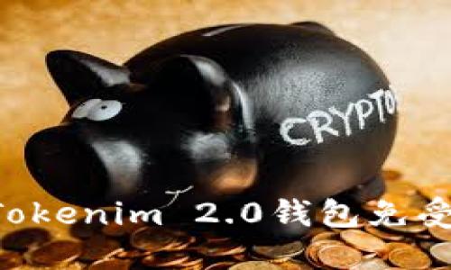 如何保护你的Tokenim 2.0钱包免受盗窃：全面指南