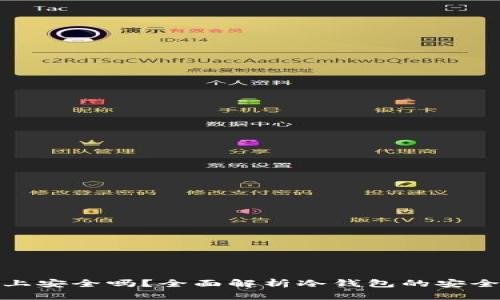 冷钱包插电脑上安全吗？全面解析冷钱包的安全性及防盗措施