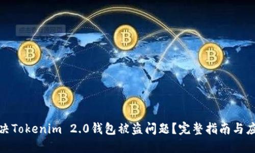 如何解决Tokenim 2.0钱包被盗问题？完整指南与应对措施