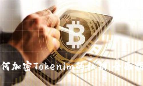 如何加密Tokenim的私钥：全面指南