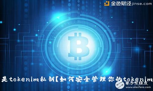 什么是tokenim私钥？如何安全管理你的tokenim私钥