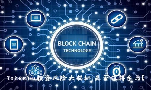 Tokenim投资风险大揭秘：是否值得参与？