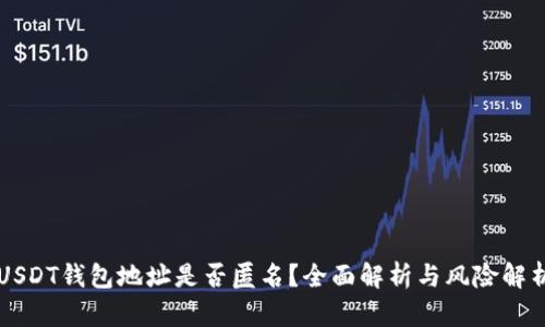 USDT钱包地址是否匿名？全面解析与风险解析