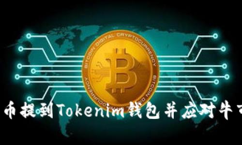 如何将FIL币提到Tokenim钱包并应对牛市投资策略