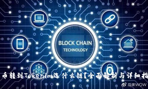 火币转到Tokenim选什么链？全面解析与详细指南