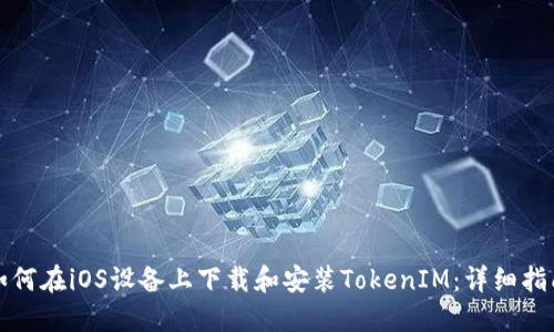 如何在iOS设备上下载和安装TokenIM：详细指南