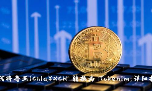 如何将奇亚（Chia）XCH 转换为 Tokenim：详细指南