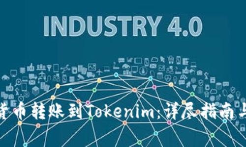 : 如何将货币转账到Tokenim：详尽指南与注意事项