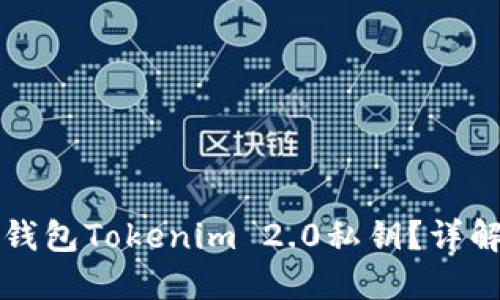 如何使用冷钱包Tokenim 2.0私钥？详解与实用指南