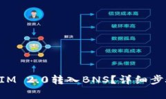 如何将TokenIM 2.0转入BNS？详