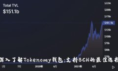 深入了解Tokenomy钱包：支持