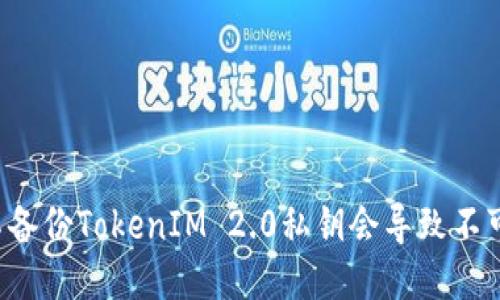 为什么不备份TokenIM 2.0私钥会导致不可逆损失？