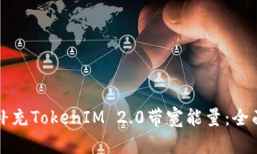 如何补充TokenIM 2.0带宽能量：全面指南