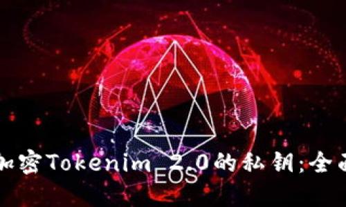 如何加密Tokenim 2.0的私钥：全面指南