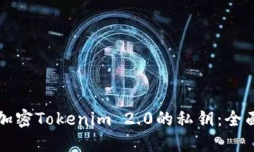 如何加密Tokenim 2.0的私钥：全面指南