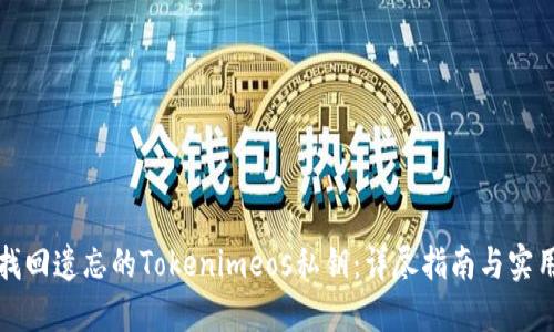 如何找回遗忘的Tokenimeos私钥：详尽指南与实用技巧