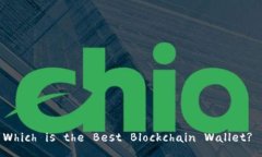 Which is the Best Blockchain Wa