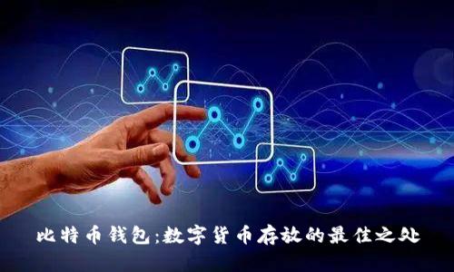比特币钱包:数字货币存放的最佳之处