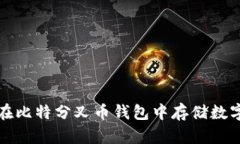 如何在比特分叉币钱包中