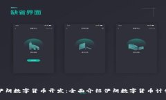 伊朗数字货币开发：全面