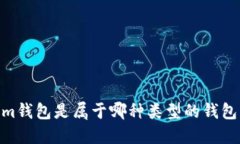 im钱包是属于哪种类型的钱