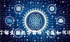 深入了解美国数字货币：