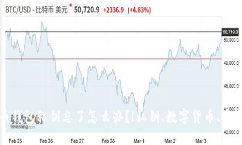 比特币钱包私钥忘了怎么办?|私钥、数字货币、安全问题
