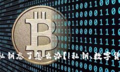 比特币钱包私钥忘了怎么