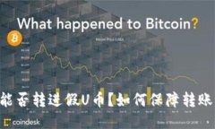 IM钱包能否转进假U币？如