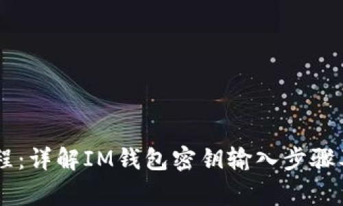 IM钱包密钥输入教程:详解IM钱包密钥输入步骤及常见问题解决方法