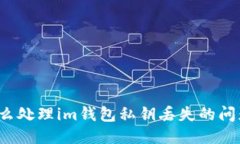 怎么处理im钱包私钥丢失的