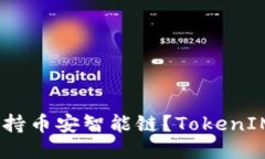TokenIM是否支持币安智能链